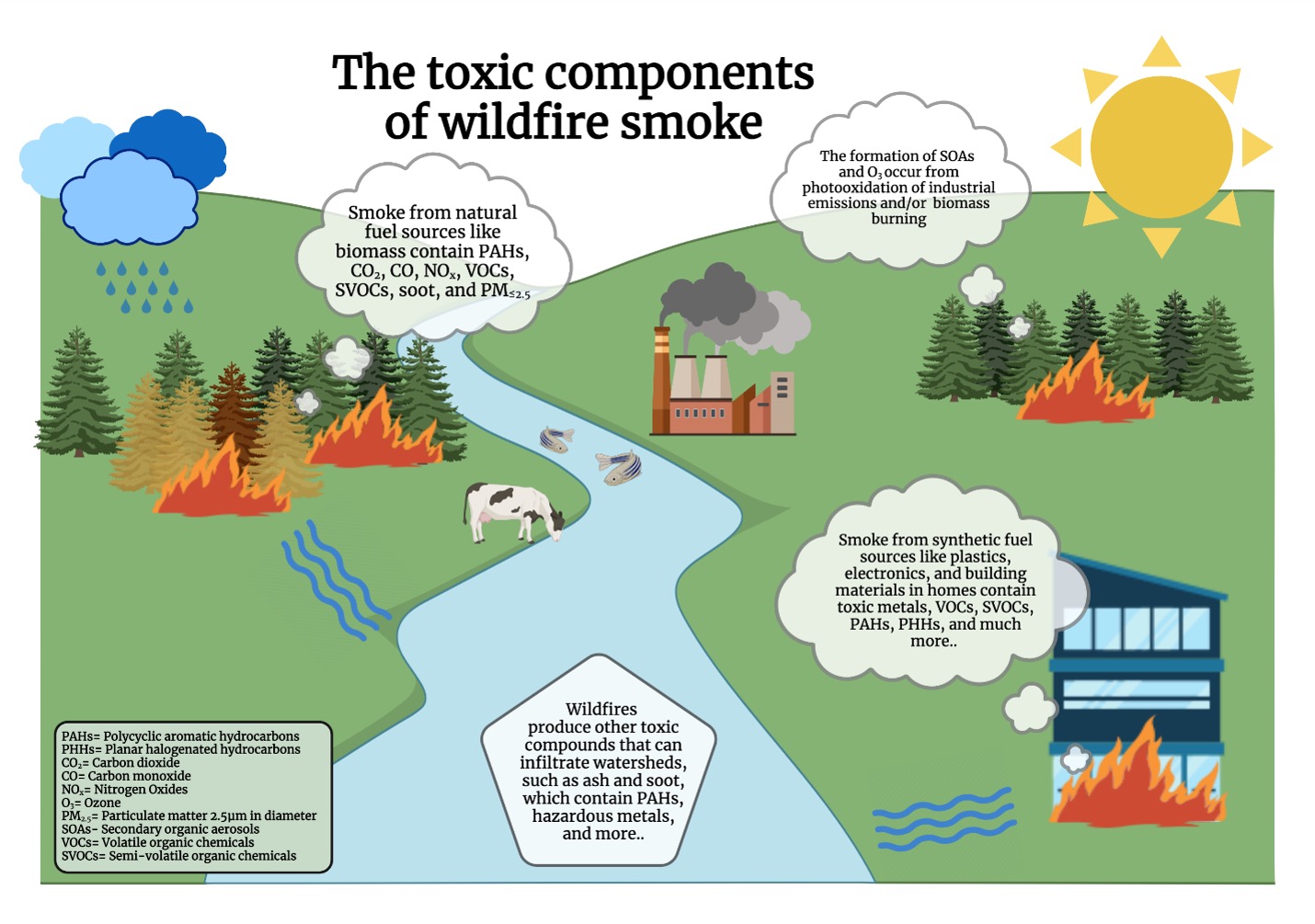 Wildfires produce toxic substances.