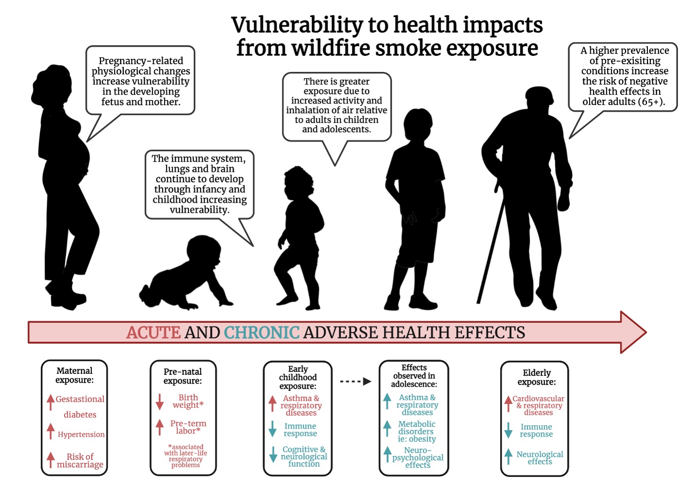 Age influences health impacts of wildfire smoke, which can be acute and chronic.