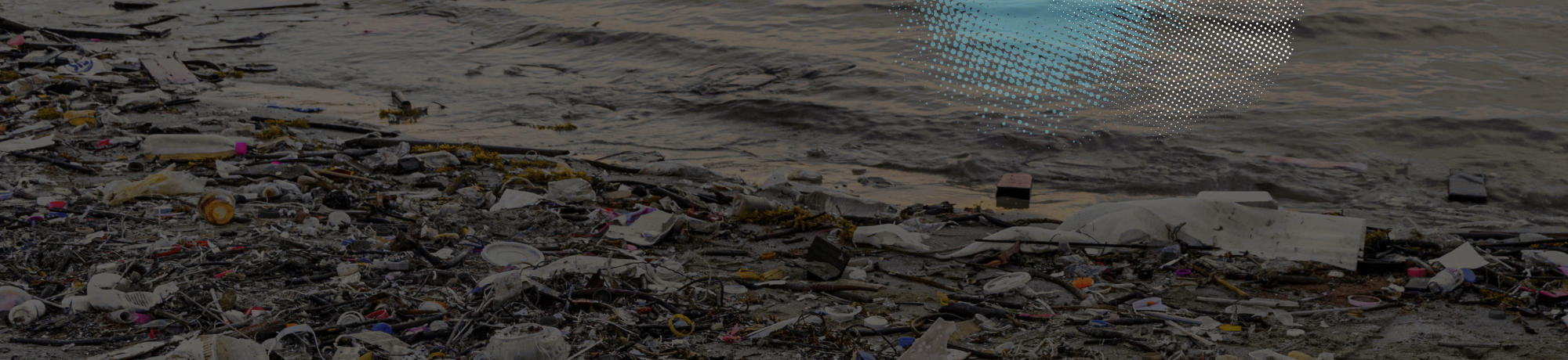 Plastics scattered across shoreline of a beach on the ocean's edge