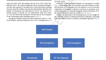 Wildfire Study Reproductive Toxicology Pinkerton