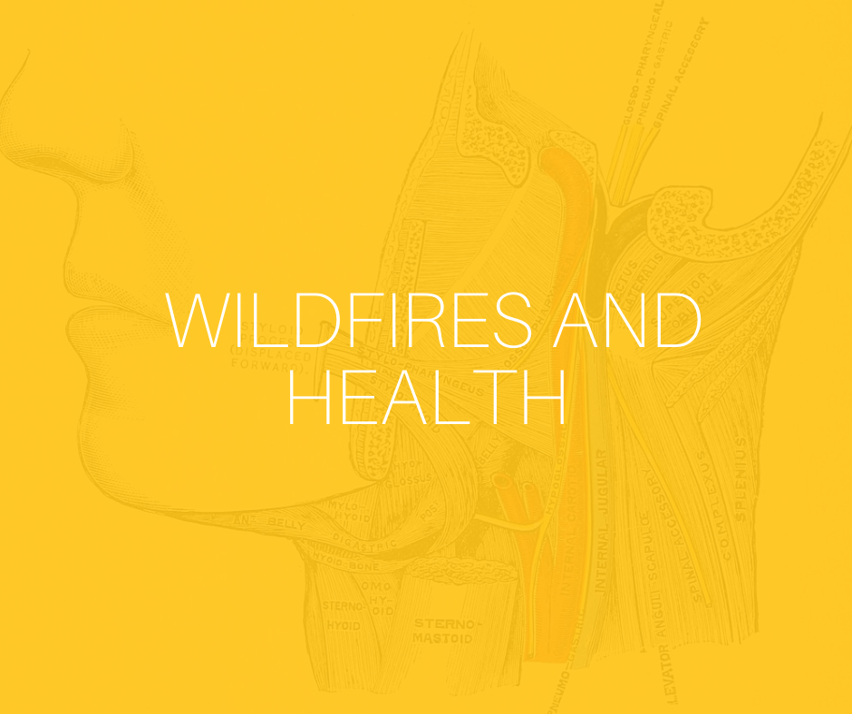 wildfires and health