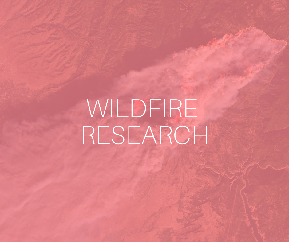 Wildfire Research (Rose)