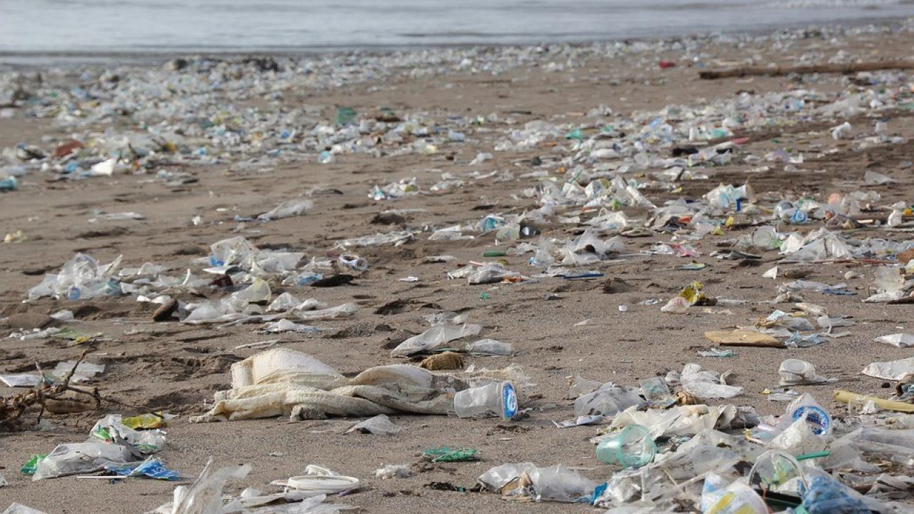 Beach littered with plastic