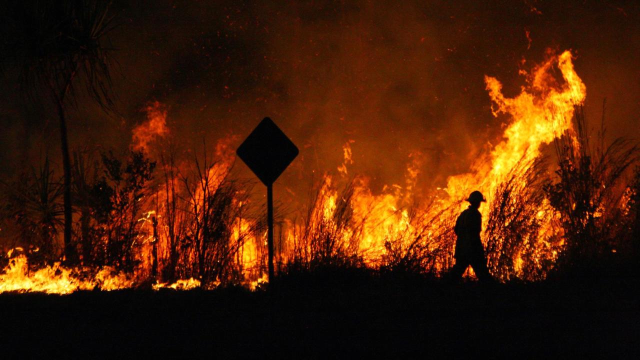 Firefighters fighting brush fire 