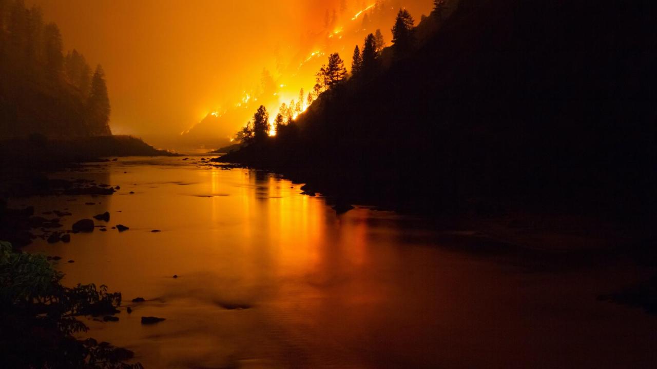 Wildfire