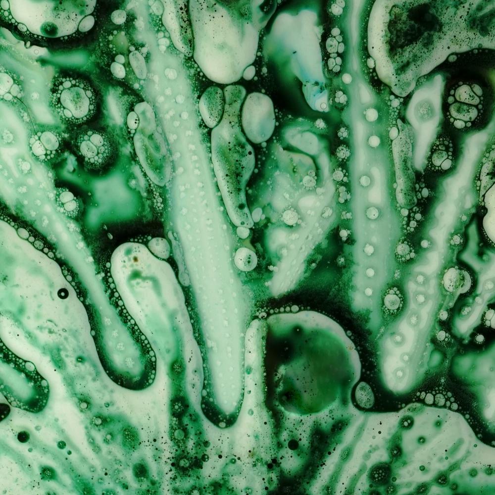 Green colored water sample