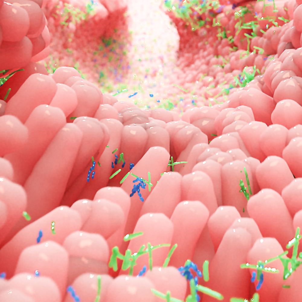 Illustration of gut microbiome