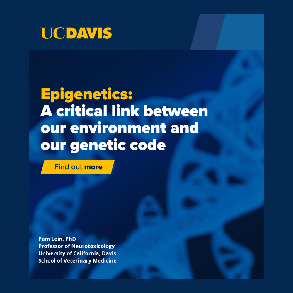 Epigentics by Pam Lein, e-book cover