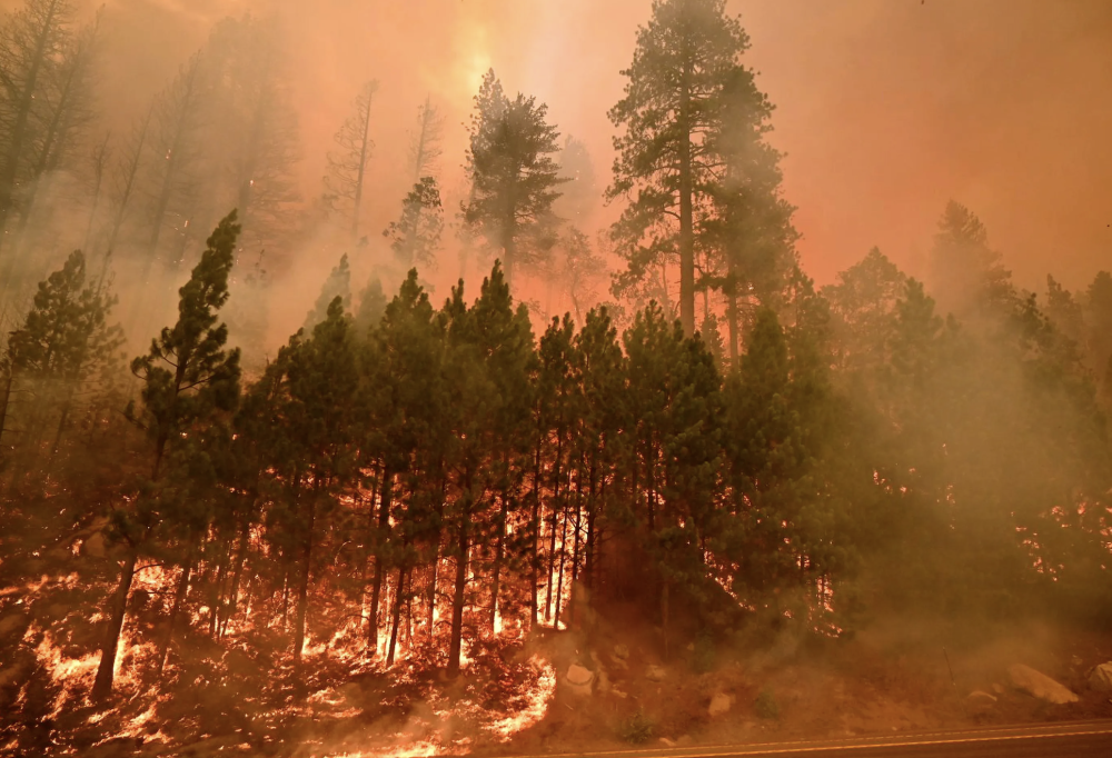 Caldor Fire