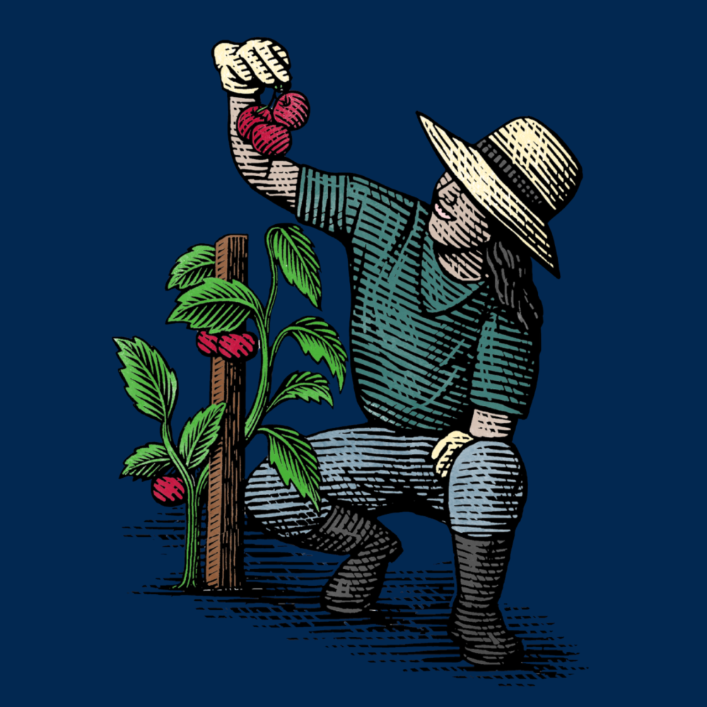 Illustration of Student Farmer