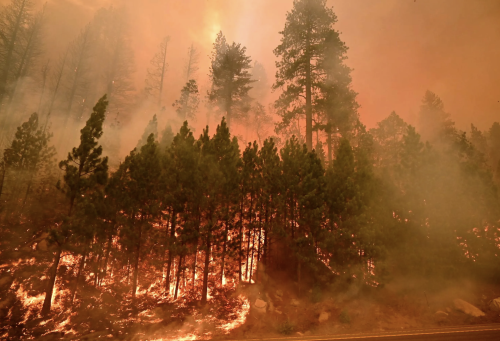 Caldor Fire
