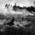 Burned debris from wildfire