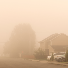 Smoke Exposure