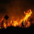 Firefighters fighting brush fire 