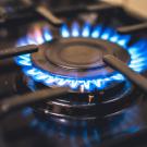 Gas Stove Burner