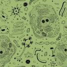 Cells and DNA components
