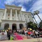 Domestic Worker protest (Dignidad)