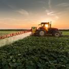 Pesticides application in the Central Valley