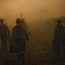 Wildland firefighters