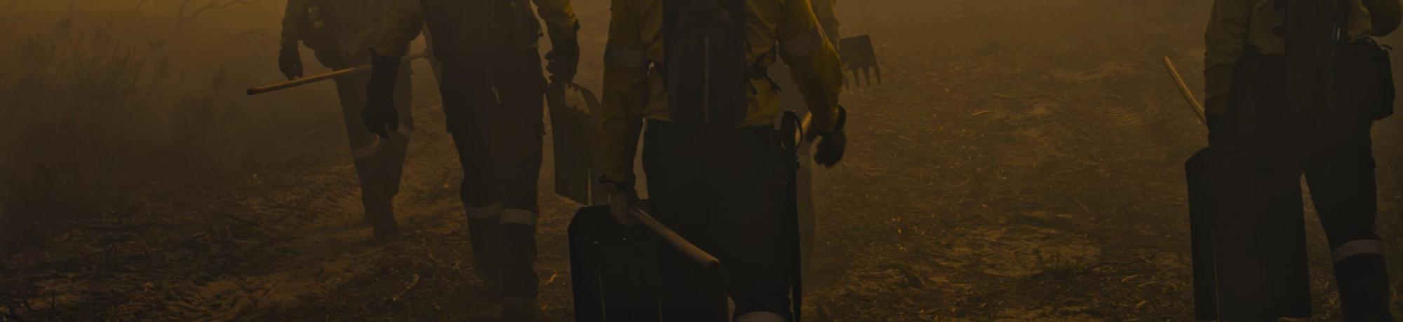 Wildland firefighters