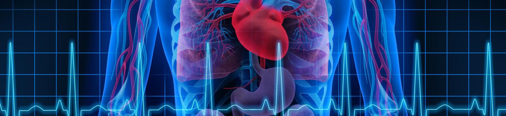 Xray lungs and heart